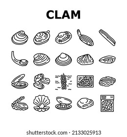 Clam Marine Sea Farm Nutrition Icons Set Vector. Ocean Quahog And Surf Clam, Pearl Oyster Shell And Mussel, Donax And Pacific Geoduck Line. Seafood Delicious Nutrient Black Contour Illustrations