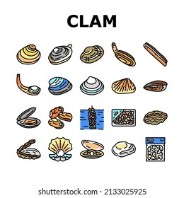 Clam Marine Sea Farm Nutrition Icons Set Vector. Ocean Quahog And Surf Clam, Pearl Oyster Shell And Mussel, Donax And Pacific Geoduck Line. Seafood Delicious Nutrient Color Illustrations