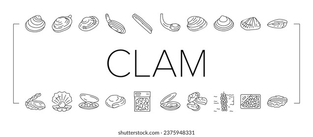 Clam Marine Sea Farm Nutrition Icons Set Vector. Ocean Quahog And Surf Clam, Pearl Oyster Shell And Mussel, Donax And Pacific Geoduck Line. Seafood Delicious Nutrient Black Contour Illustrations