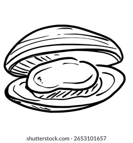 Clam opening shell Hand drawn line art sketch doodle fisherman aesthetic coastal nautical illustration 