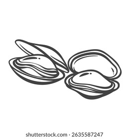 Clam outline drawing in monochrome doodle style. Opened bivalve shellfish, hand drawn seafood icon for menus, recipes, or pub dishes. Vector illustration.