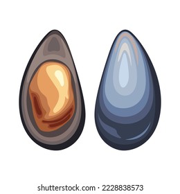 clam shell sea seashell animal shellfish oyster vector illustration