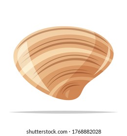 Clam Shell Vector Isolated Illustration