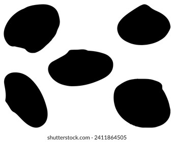 Clam Shells silhouette vector art fondo blanco