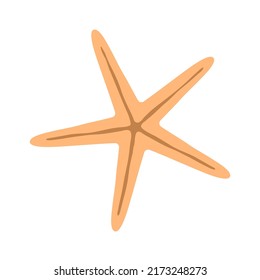 Clam starfish. Sea shellfish. Underwater life and fauna. Symbol of the beach and summer resort. Cartoon vector illustration isolated on white background