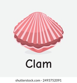 Clam Vector Illustration: Shelled Marine Mollusk