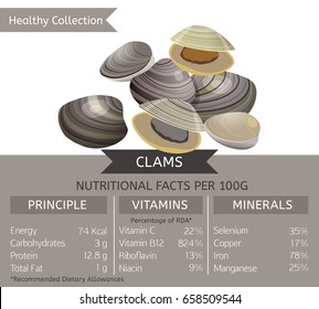 Clams health benefits. Vector illustration with useful nutritional facts. Essential vitamins and minerals in healthy food. Medical, healthcare and dietary concept.