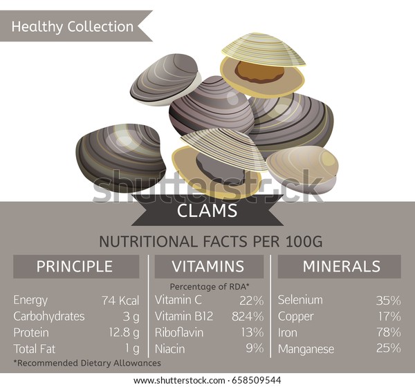 Clams Health Benefits Vector Illustration Useful Stock Vector Royalty