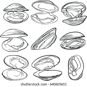 Clams set vector illustration. Black and white linear graphic. Easy to scale. Perfect for restaurant business, decorating, textile printing etc.