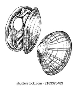 Ilustraciones de corderos o mariscos de mariscos