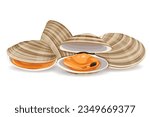 clams vector illustration isolated on white background.