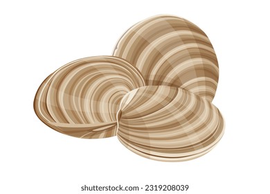 clams vector illustration isolated on white background.