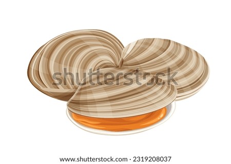 clams vector illustration isolated on white background. [[stock_photo]] © 
