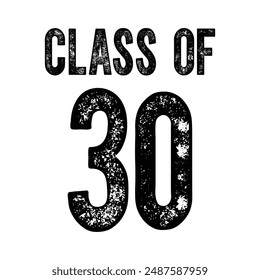 Class of 2030 design, College t-shirt design printable text vector	