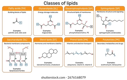 Classes of lipids infographic: fatty acids, glycerolipids, glycerophospholipids, sterol, prenol lipids, saccharolipids, polyketides