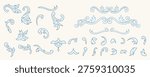 Classic baroque scroll elements and elegant floral flourishes collection