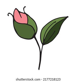 El brote rojo de floración clásico aislado en la ilustración blanca vectorial. Flor de rosa, planta floreciente. El jardín rosa aislado icono de la flor roja, rosa y violeta y brote con la hoja verde para el romántico