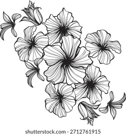 Clássico Vetor de flor botânica - Suave Petúnia Blossom Cluster em Linha de Arte, Ilustração Floral Minimalista Preto-e-Branco para Tatuagens, Pôsteres e Design Gráfico