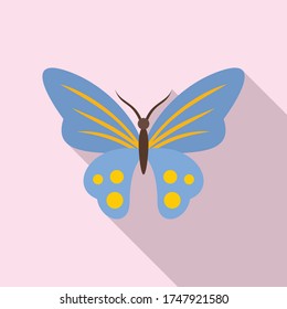 Classic butterfly icon. Flat illustration of classic butterfly vector icon for web design