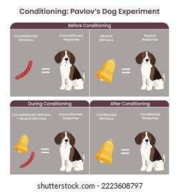 Classic Conditioning Pavlov's Dog Experiment vector illustration diagram