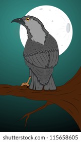 Classic Crow Vector