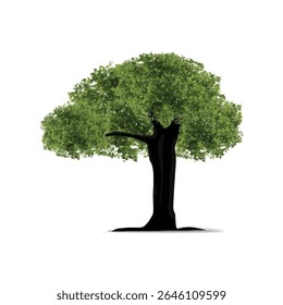 Ilustração de árvore decídua clássica com folhagem exuberante, limpo e crocante em um fundo branco puro. Adequado para design de paisagem, materiais educacionais e marca de produtos naturais.
