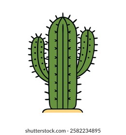 Classic desert cactus illustration isolated vector