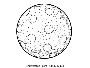 Classic dotted ball illustration, drawing, engraving, ink, line art, vector