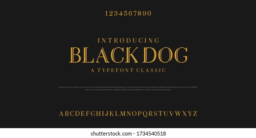 Classic elegant font set vector illustration design of font set. 