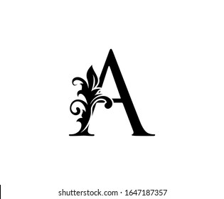 Lettre A élégante classique. Un style royal gracieux. Joli logo calligraphique. Emblème dessiné à la main pour la conception de livres, carte de désherbage, marque, carte de visite, Restaurant, Boutique, Hôtel. 
