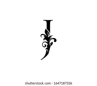 Classic Elegant Letter J Graceful Royal Stock Vector (Royalty Free ...