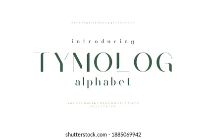 Classic Elegant Minimal Lettering Fashion Design. Vintage Typography Font Set Design. Vector Illustration Typeface Alphabet.