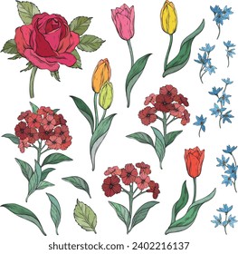 elementos florales clásicos. Rosas y tulipanes. Ilustración botánica vectorial.