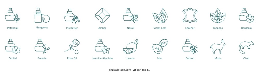 Classic and Floral Fragrance Notes Vector Icon Set