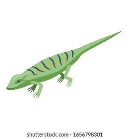Classic green lizard icon. Isometric of classic green lizard vector icon for web design isolated on white background