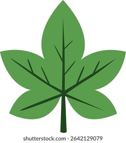 A classic green maple leaf with distinct lobes, evoking the warmth and beauty of autumn in a simple, elegant design.