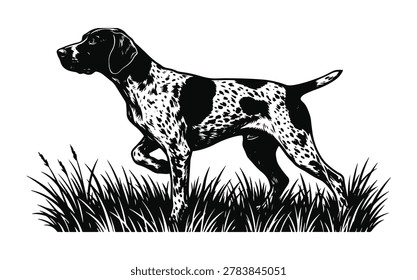 A classic, high-contrast vector illustration of a Pointer dog in a traditional pointing stance. Vintage Hunting Hound Silhouette for Outdoor Brands