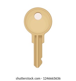 Classic key icon. Color vector flat illustration for info graphic, poster, web. Isolated on white background.