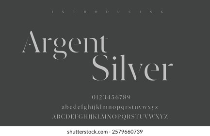Classic Lettering Minimal Fashion Designs. Typography modern serif fonts regular decorative vintage concept Vector illustration. Elegant Font Uppercase Lowercase and Number Premium Serif Typeface