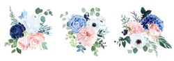 Classic Navy Blue, White, Blush Pink Rose, Hydrangea, Ranunculus, Dahlia, Anemone, Peony, Thistle Flowers, Greenery And Eucalyptus Wedding Vector Bouquets.Trendy Color Collection.Isolated And Editable