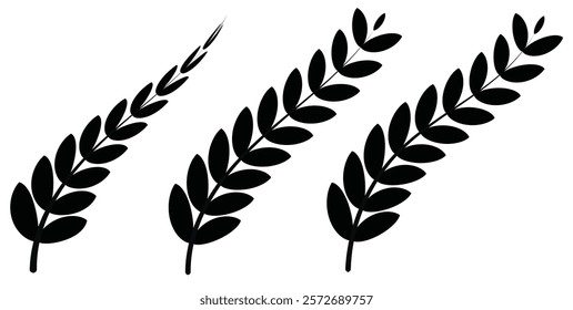 classic new Zealand silver fern icon emblem black set.Fern or palm leaf black icon. Fern glyph icon. Simple solid style.Leaf, logo, kiwi, silhouette, bird, sign, new Zealand symbol concept design.