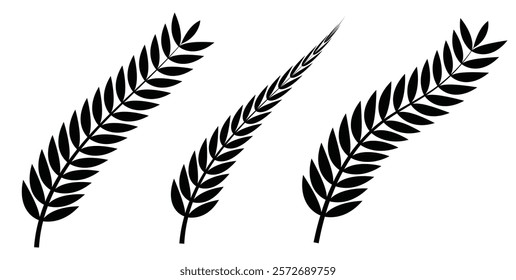 classic new Zealand silver fern icon emblem black set.Fern or palm leaf black icon. Fern glyph icon. Simple solid style.Leaf, logo, kiwi, silhouette, bird, sign, new Zealand symbol concept design.