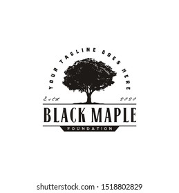 Classic Oak Maple Tree Silhouette. Residential landscape vintage logo design