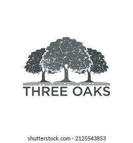 Classic Oak Tree Vintage Logo Stock Vector (Royalty Free) 2125543853 ...