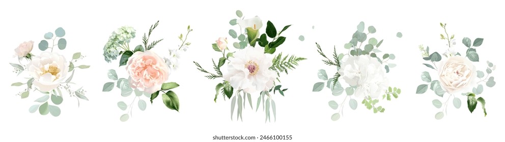 Classic pink rose, white hydrangea, peony, beige ranunculus, mint eucalyptus, fern, sage greenery vector design wedding spring bouquets. Floral summer watercolor. Elements are isolated and editable