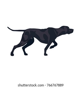 Classic Pointer Stance. Gun Dog Breed. Vector Illustration Isolated On The White Background