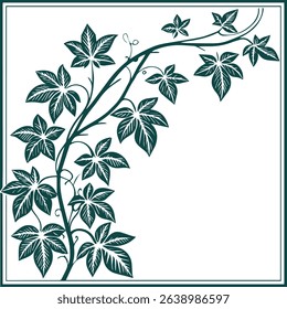 Classic rectangular climbing vine frame in vintage botanical style clean antique green line art white background stock ready traditional design