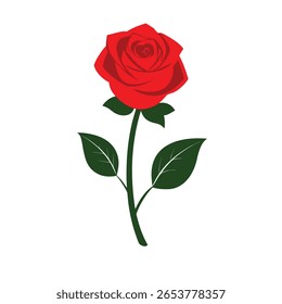 Flor de rosa vermelha clássica simbolizando amor e romance, perfeito para o Dia dos Namorados e desenhos românticos.
