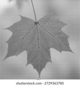 Una ilustración retro clásica de una sola hoja de arce con patrones de venas detallados. Este diseño estacional representa el otoño, el cambio de la naturaleza y la belleza del bosque. Perfecto para volantes de festivales de otoño, etiquetas de alimentos orgánicos y logotipos de jardines. El sombreado semitono agrega un aspecto texturizado moderno a la forma botánica tradicional. Expediente de Vector de alta calidad para marcas de identidad nítidas y claras en los sectores alimentario y exterior.