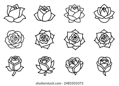 Classic rose line art design realistic illustration